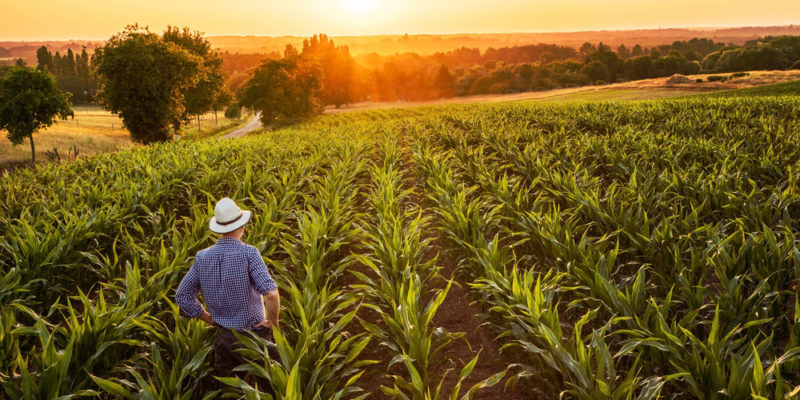 Campo y maquinaria Jalisco Agrotec