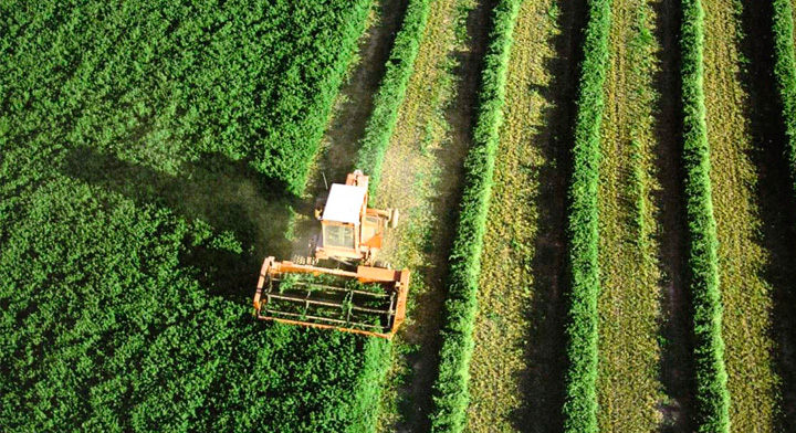 Servicios agropecuarios